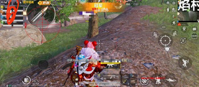 火焰鸟和平精英辅助器 - 人气辅助整合直装版